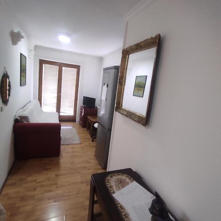 Apartment Mixa 贝尔格莱德 外观 照片
