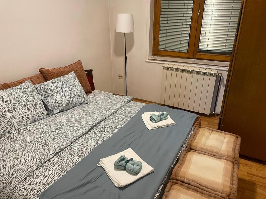 Apartment Mixa 贝尔格莱德 外观 照片