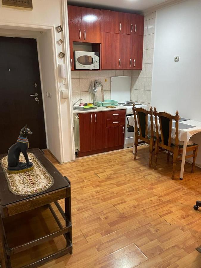 Apartment Mixa 贝尔格莱德 外观 照片