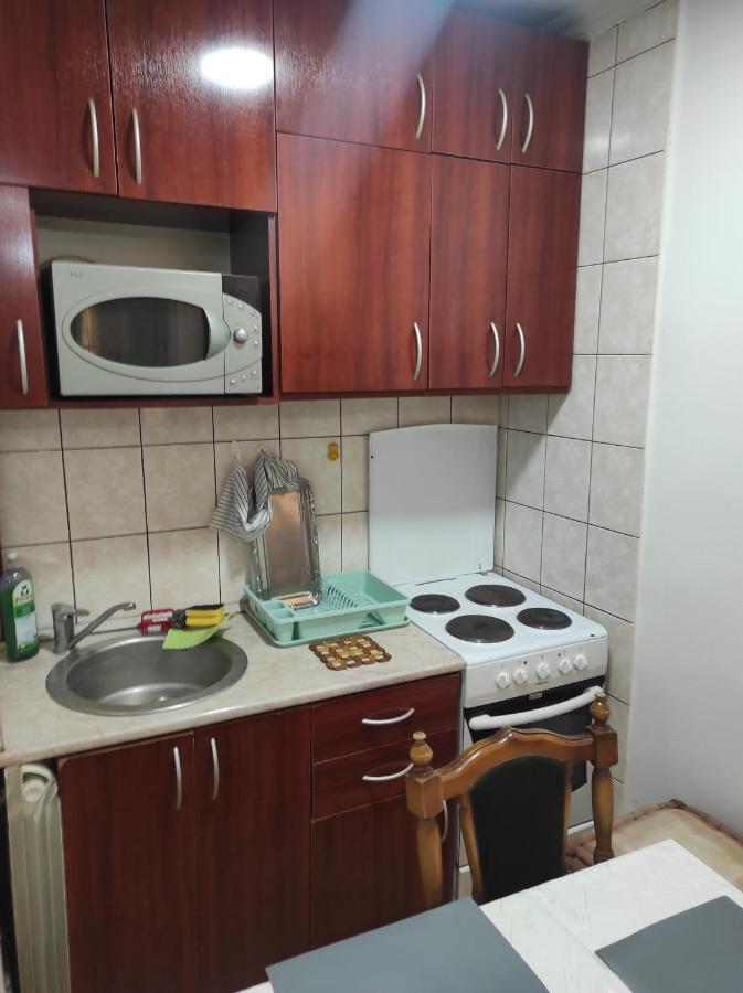 Apartment Mixa 贝尔格莱德 外观 照片