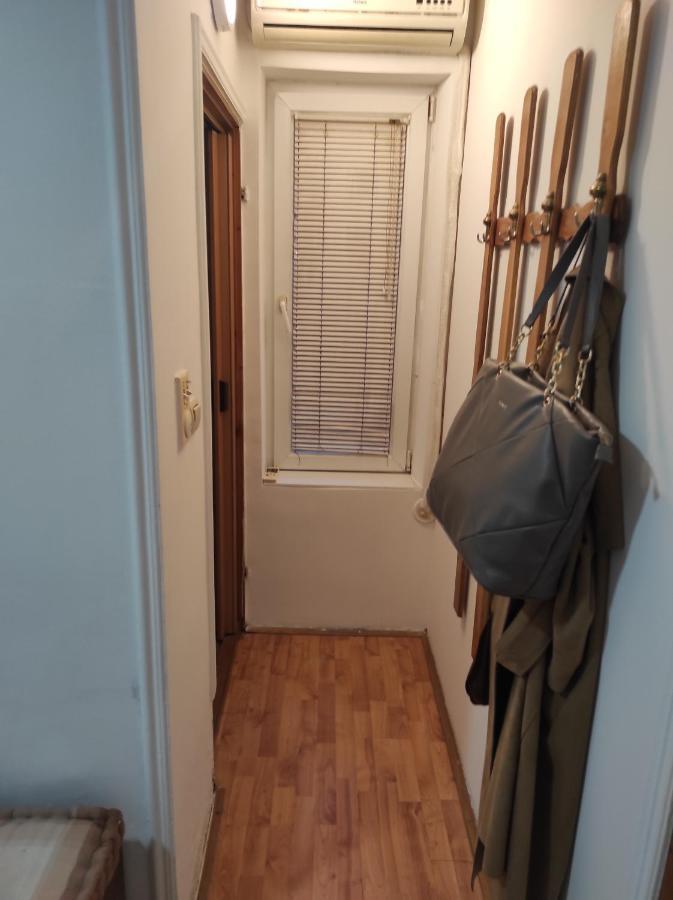 Apartment Mixa 贝尔格莱德 外观 照片
