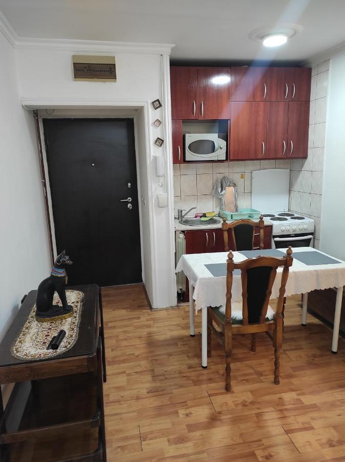 Apartment Mixa 贝尔格莱德 外观 照片